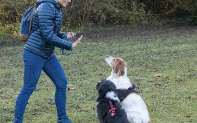 Contrôle ou lâcher-prise : quelle relation souhaitez-vous construire avec votre chien ?