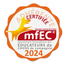 Certification MFEC
