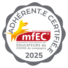 Certification MFEC